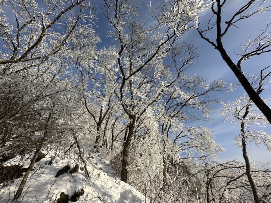 충주 계명산 최단코스 마즈막재 삼거리 원점회귀코스