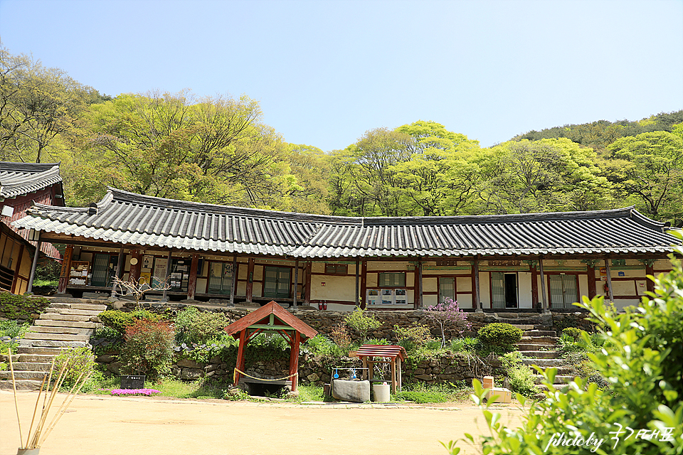 충남 서산 가볼만한곳 부석사 서산 명소