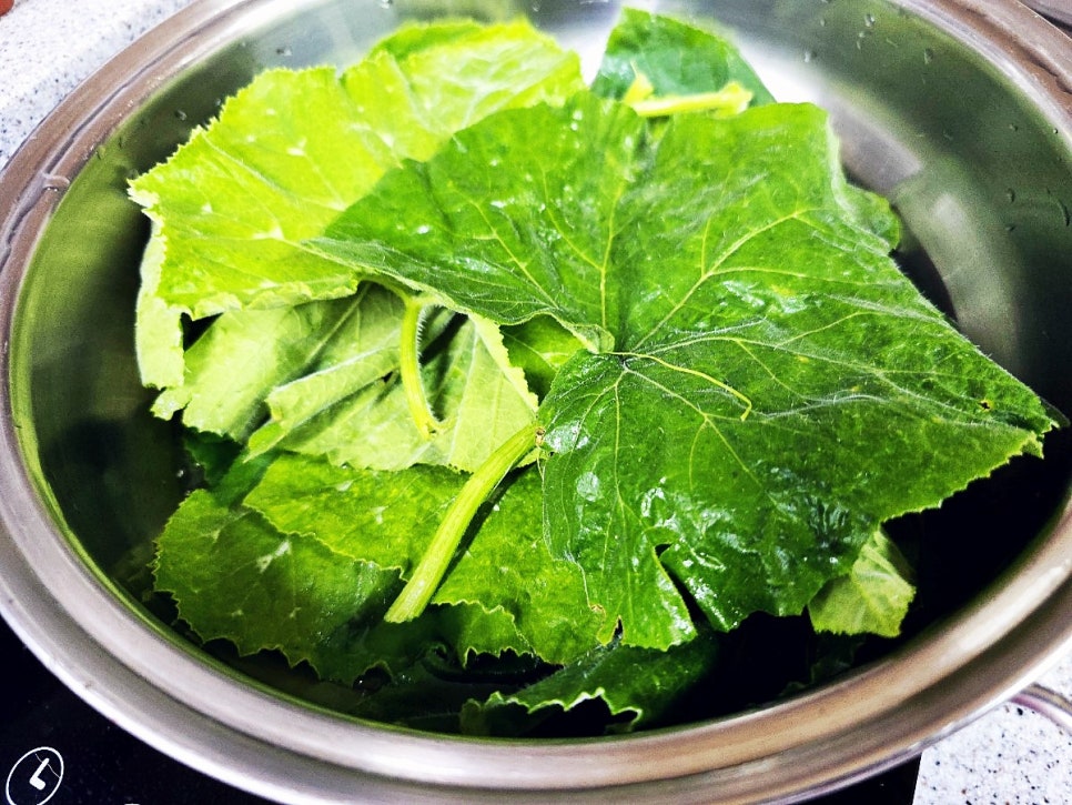 호박잎 쌈밥 호박잎쌈 호박잎삶는법 찌는법 쌈밥 종류