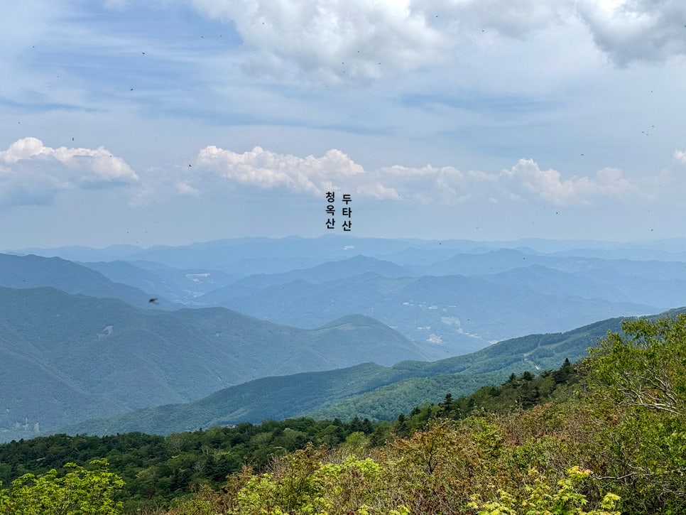 [51] 정선 가리왕산 (발심사 원점회귀 최단 코스)