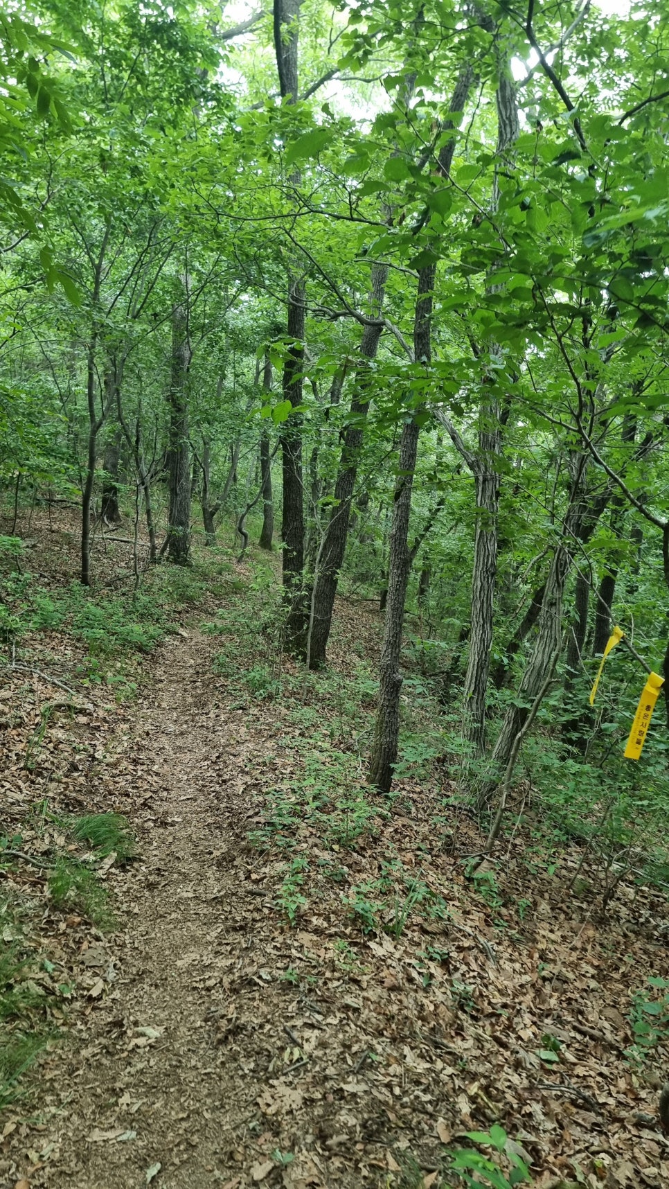 포항 운제산 등산, 오어사 원점회귀 환종주 산행