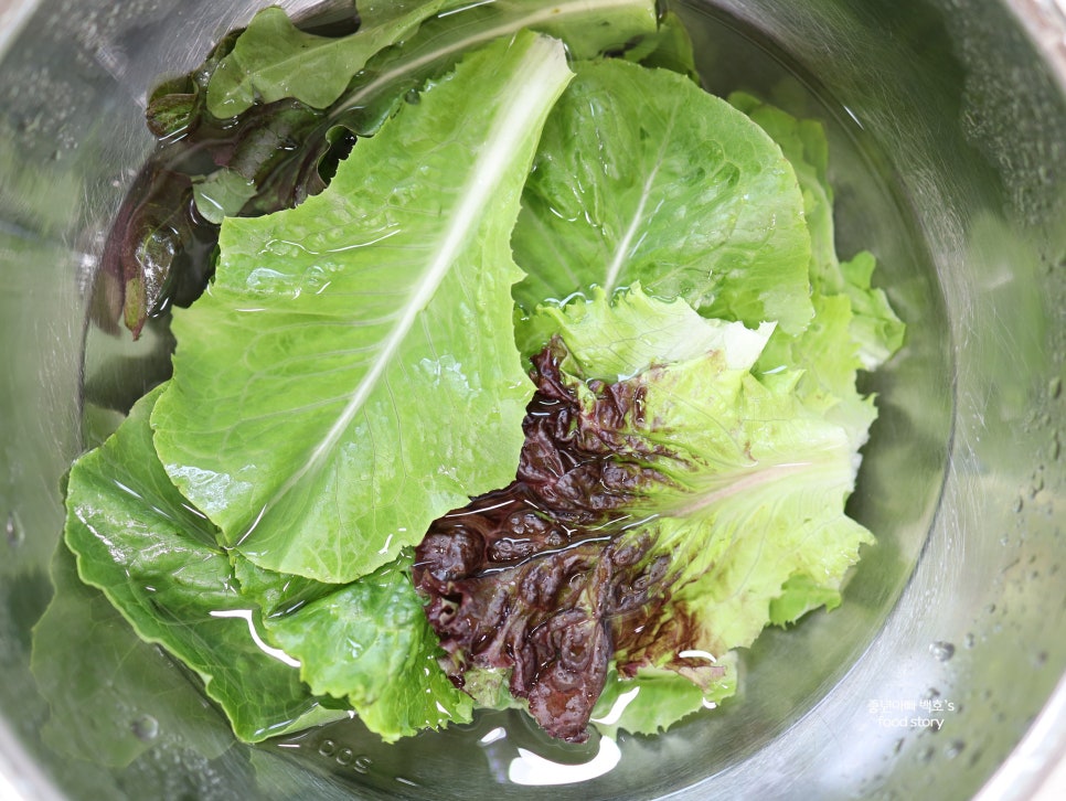 당근라페 김밥 만드는법 밥짓기 야채 상추 김밥 잘 마는법 말기