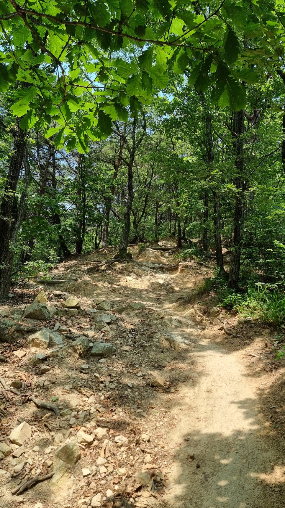 포항 운제산 등산, 오어사 원점회귀 환종주 산행