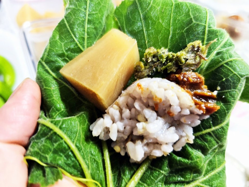 호박잎 쌈밥 호박잎쌈 호박잎삶는법 찌는법 쌈밥 종류