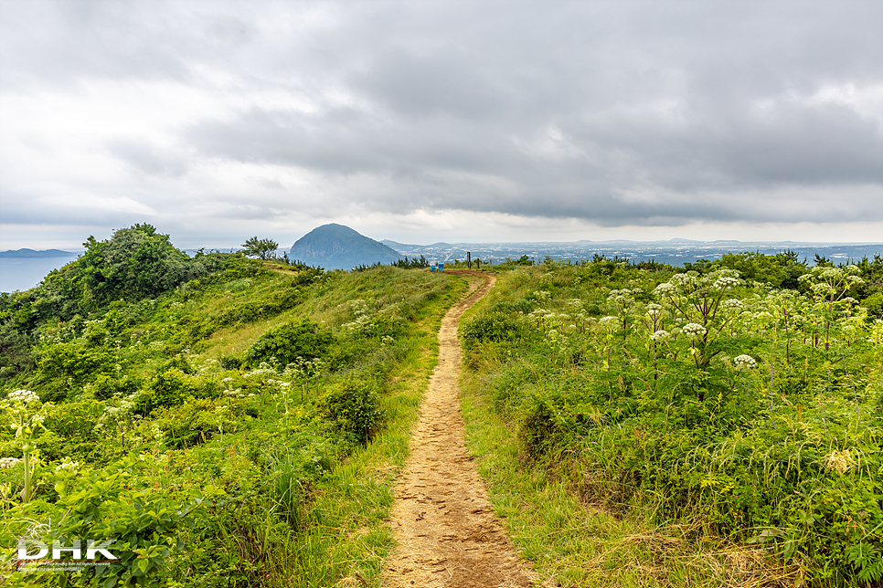 제주도 서쪽 산방산 근처 가볼만한곳 차로 올라가는 제주 군산오름 주차장 소요시간 일몰