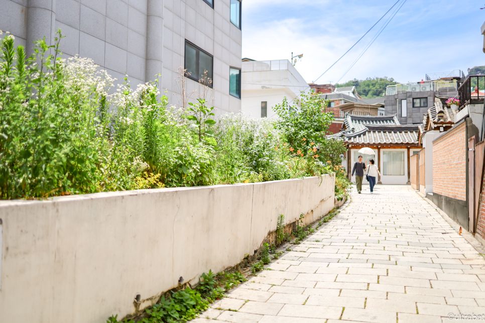 서울 가볼만한곳 강북 서촌 마을 데이트 재래 시장 투어 통인시장