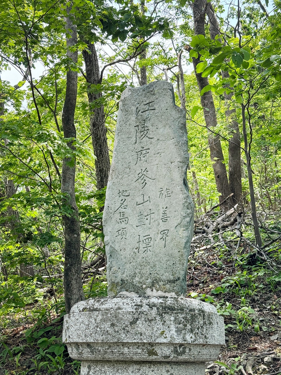 [51] 정선 가리왕산 (발심사 원점회귀 최단 코스)