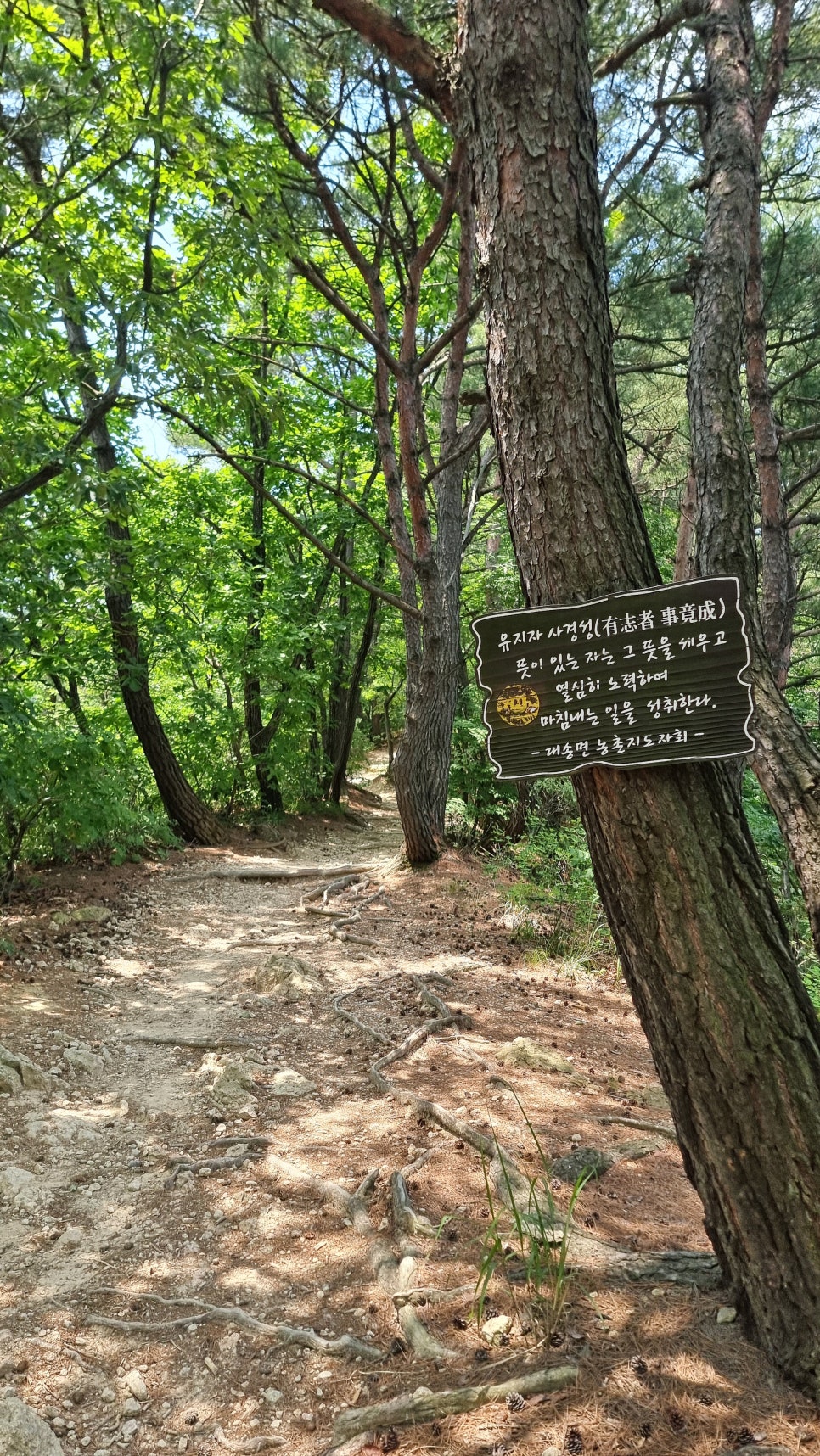 포항 운제산 등산, 오어사 원점회귀 환종주 산행