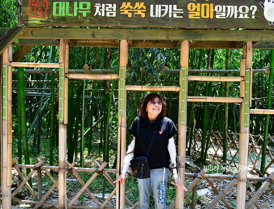 울산 여행 코스 울산 태화강 십리대숲 국가정원 걷고 십리대숲 맛집 카페 찾기~