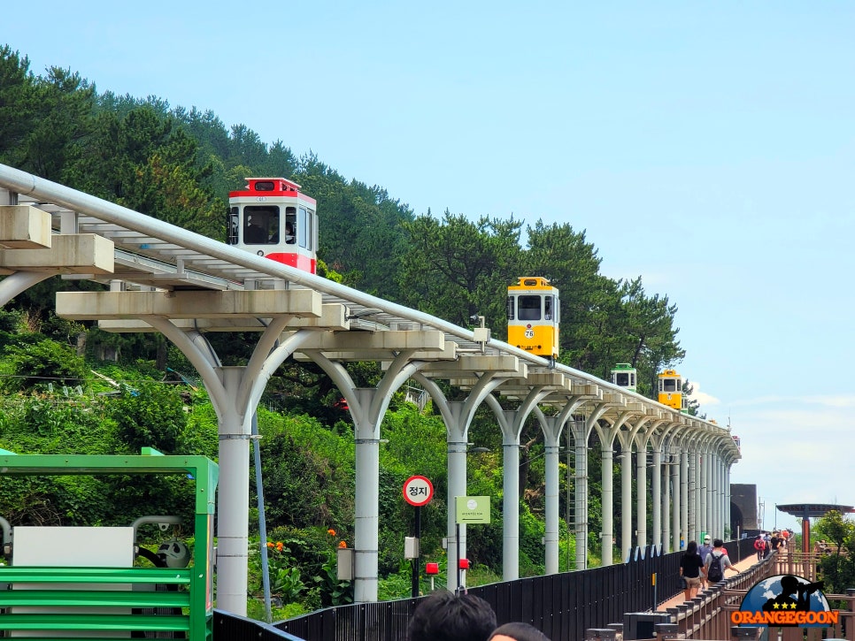 (부산 해운대구 / 해운대블루라인) 옛 동해남부선 선로를 개조하여 만들어진 새로운 관광용 교통수단. 열차타고 청사포 여행을 떠나요.