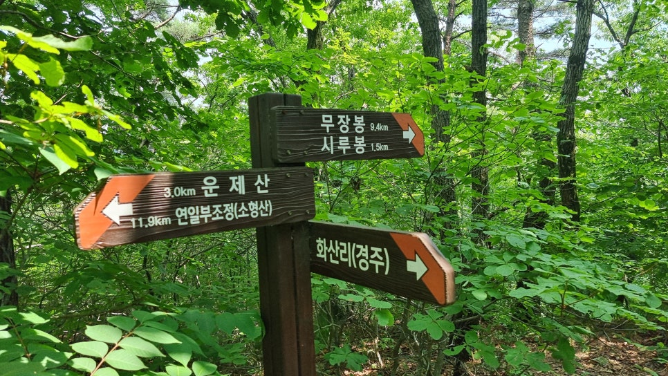 포항 운제산 등산, 오어사 원점회귀 환종주 산행