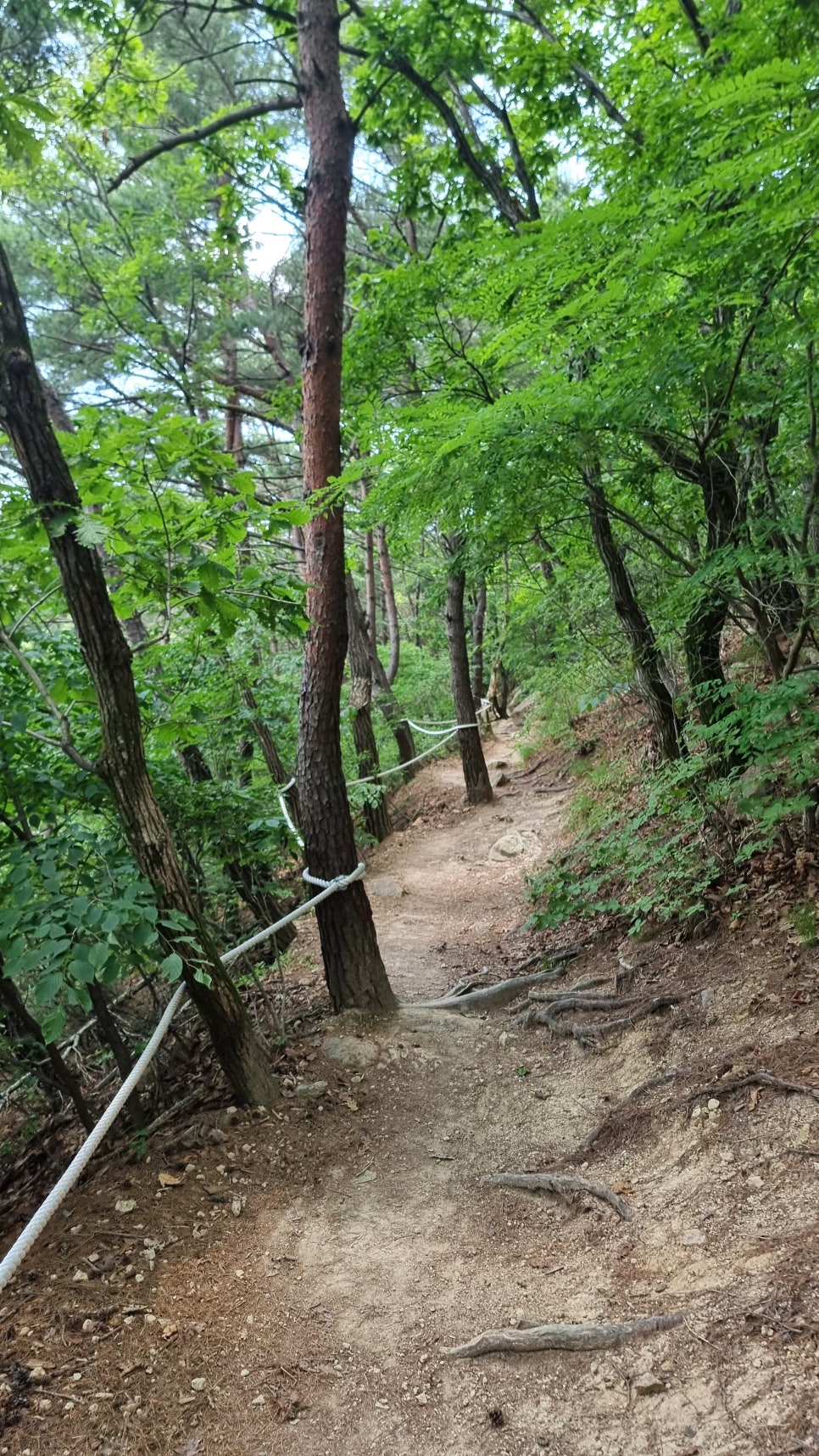 포항 운제산 등산, 오어사 원점회귀 환종주 산행