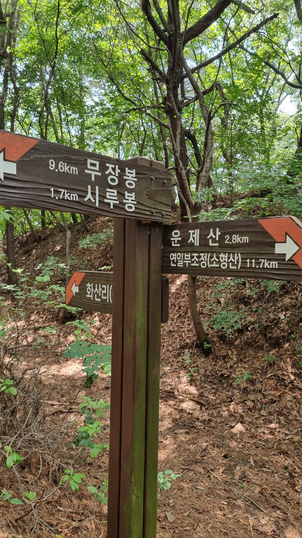 포항 운제산 등산, 오어사 원점회귀 환종주 산행