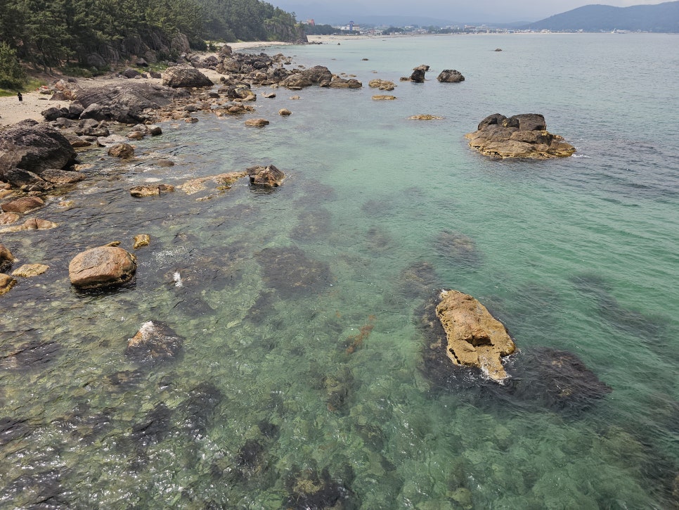 국내 기차여행 포항 울산 1박 2일 코스(행복을 주는 사람들)