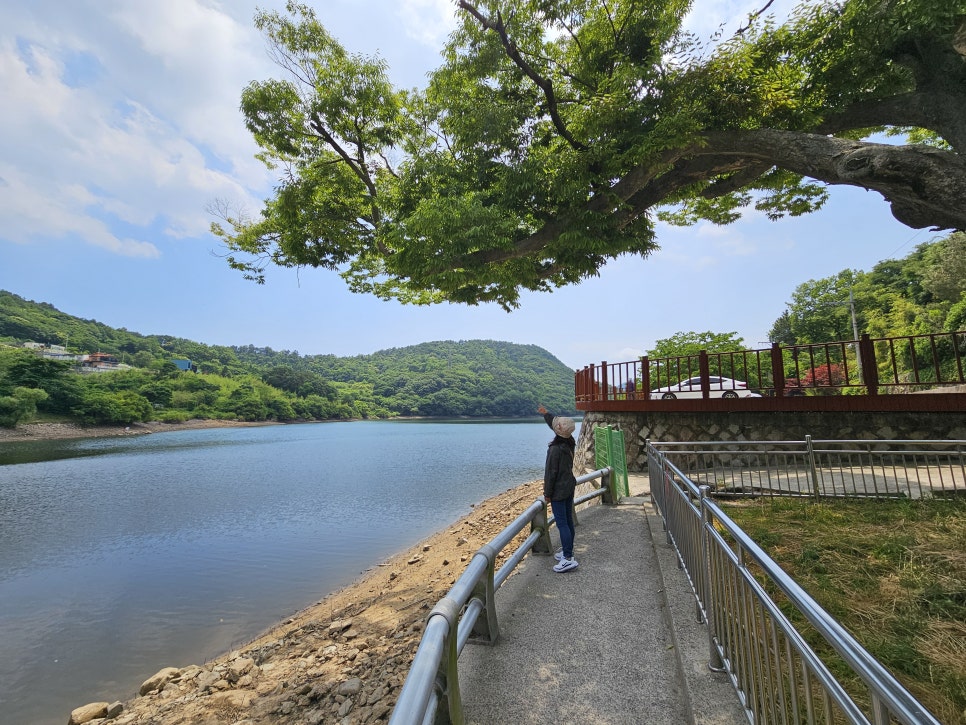 경남 여행 드라이브 코스 사천 청룡사 용두공원 와룡저수지