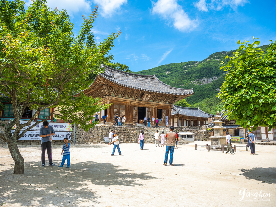 전북 여행지 추천 부안 여행 변산반도 부안 내소사