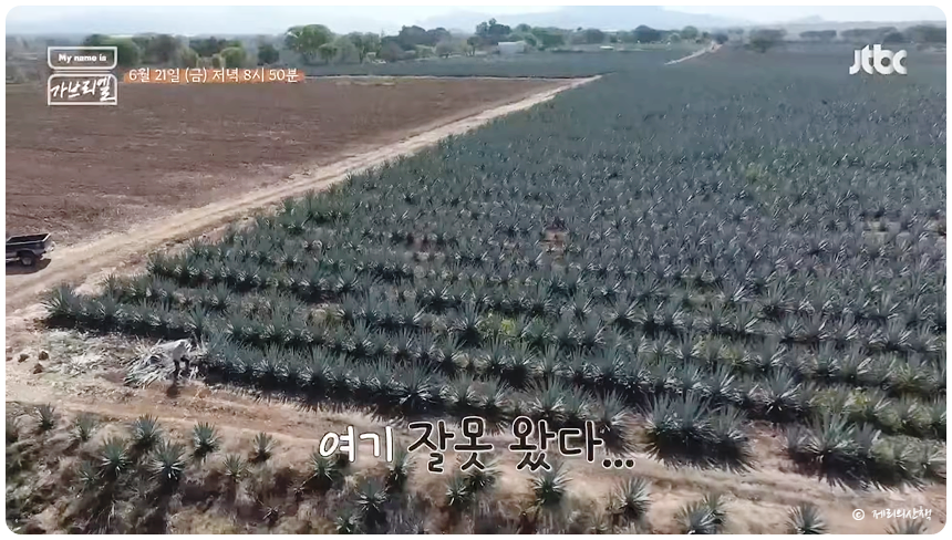 마이 네임 이즈 가브리엘 낯선 나라 다른 직업 출연진 정보 금요일 예능