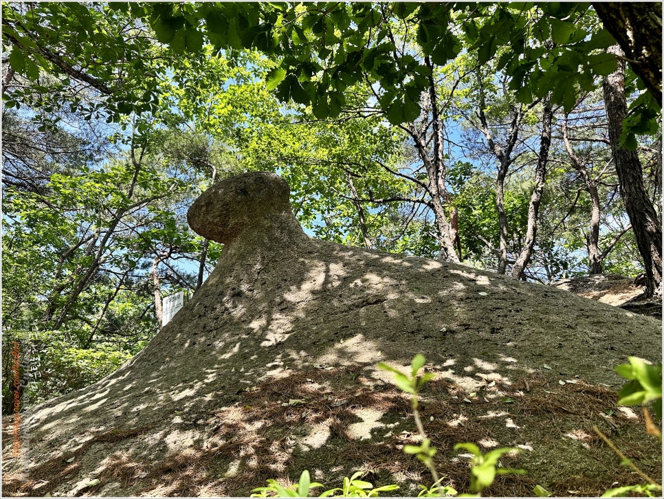 백악산 - 38 of 괴산46산 / 산은 정말 좋았는데..