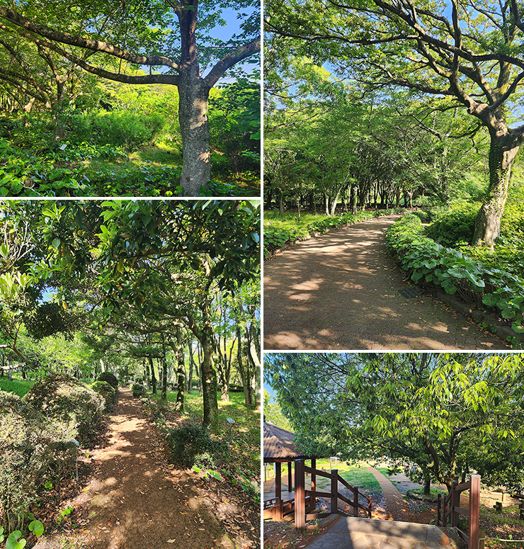 제주도 수목원 걷기 좋은 길 제주 한라수목원