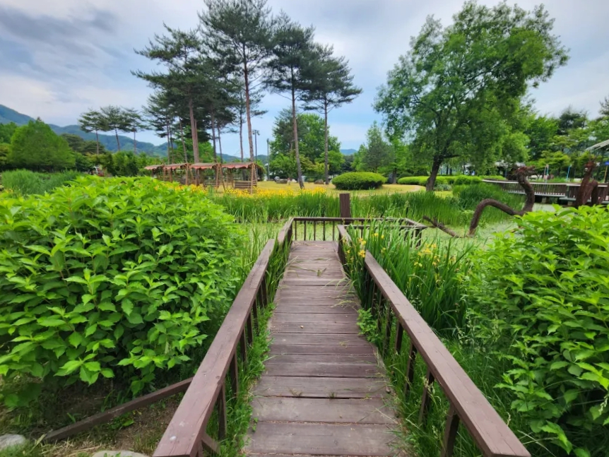 반디랜드 생태 연못 무주 환경 테마 공원