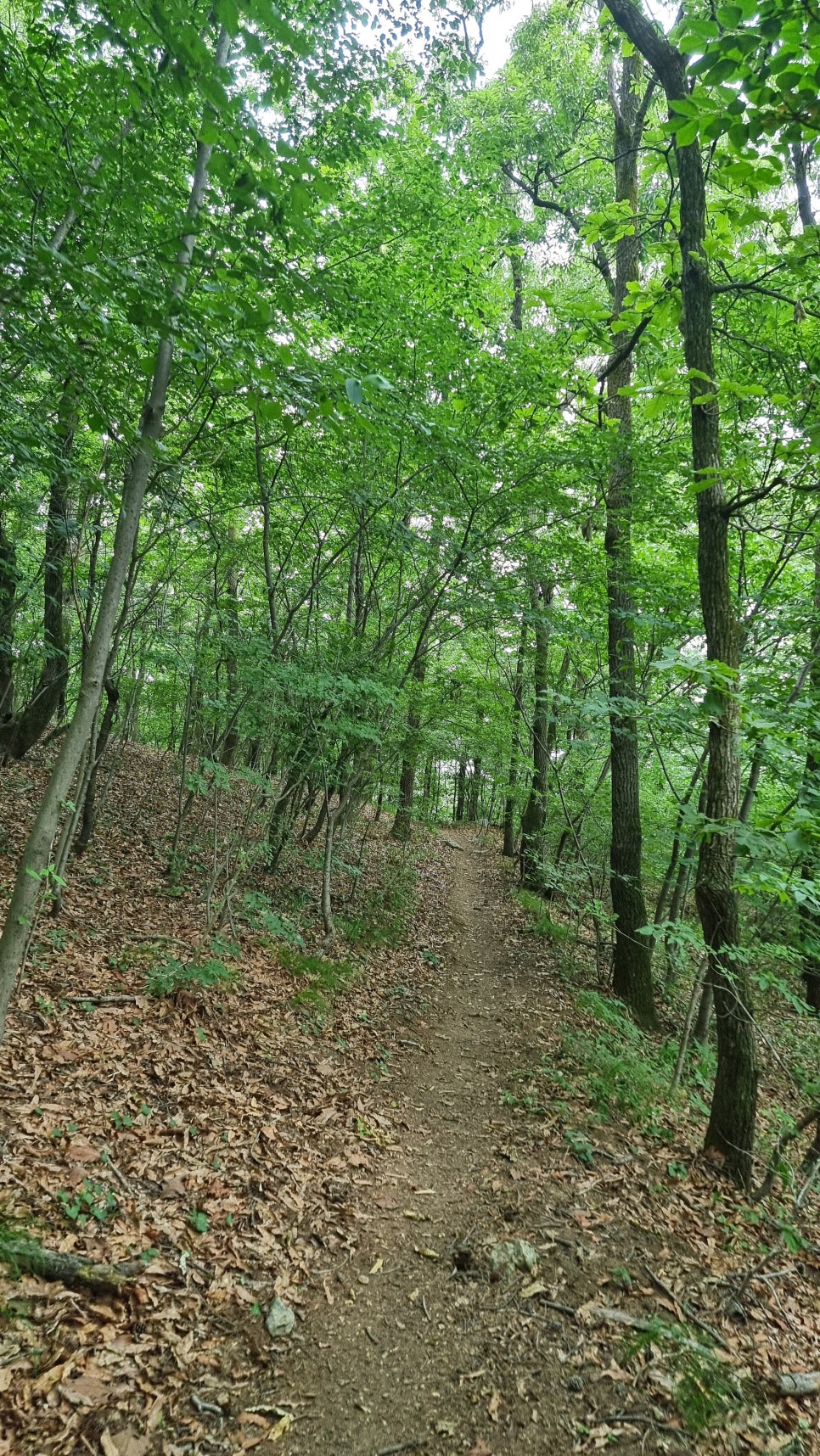 포항 운제산 등산, 오어사 원점회귀 환종주 산행