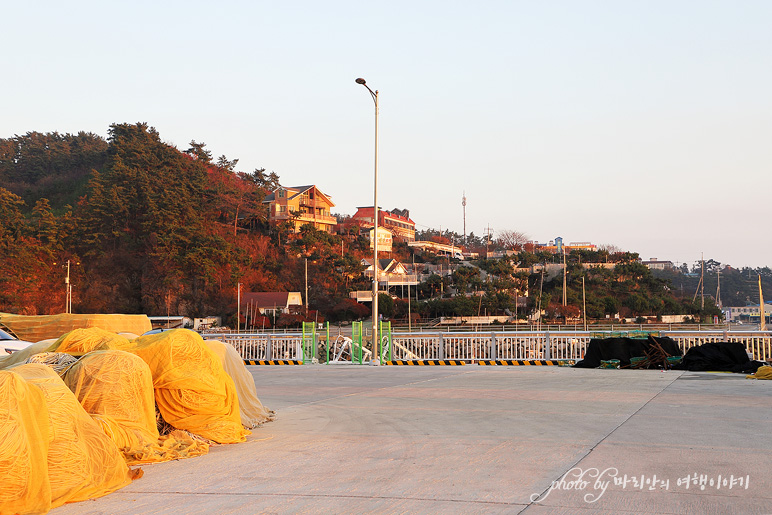 태안 일몰 모항항 서해 야간 드라이브 코스