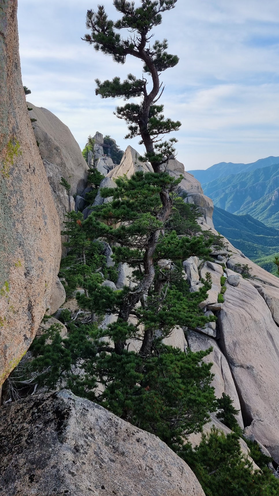 설악산 등산, 울산바위 나드리길  (중봉전망대 ~ 서봉) 릿지 산행