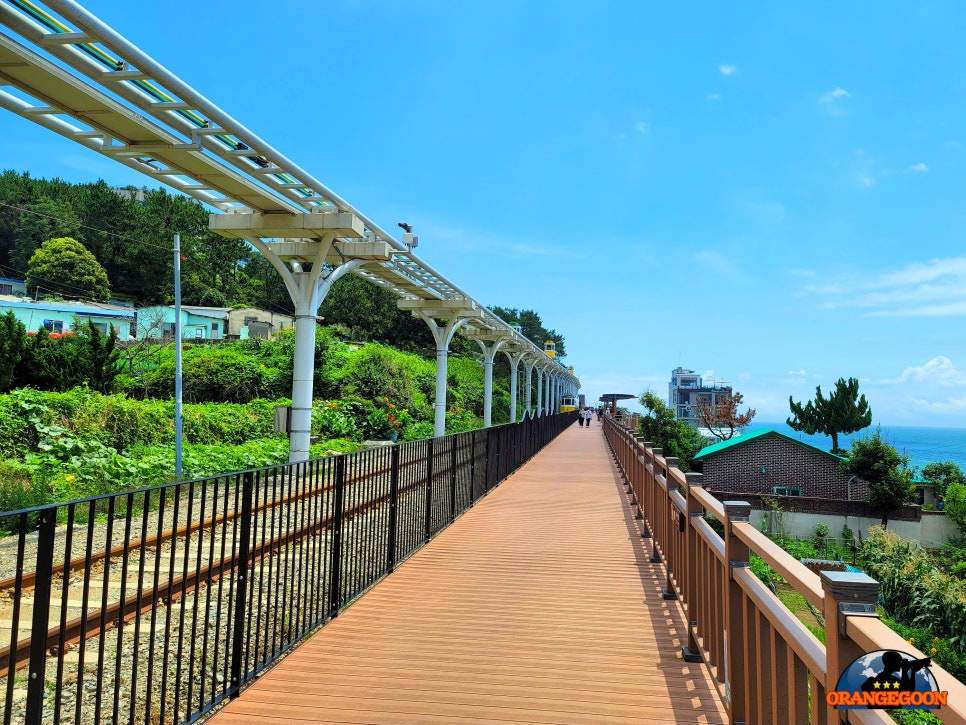 (부산 해운대구 / 해운대블루라인) 옛 동해남부선 선로를 개조하여 만들어진 새로운 관광용 교통수단. 열차타고 청사포 여행을 떠나요.