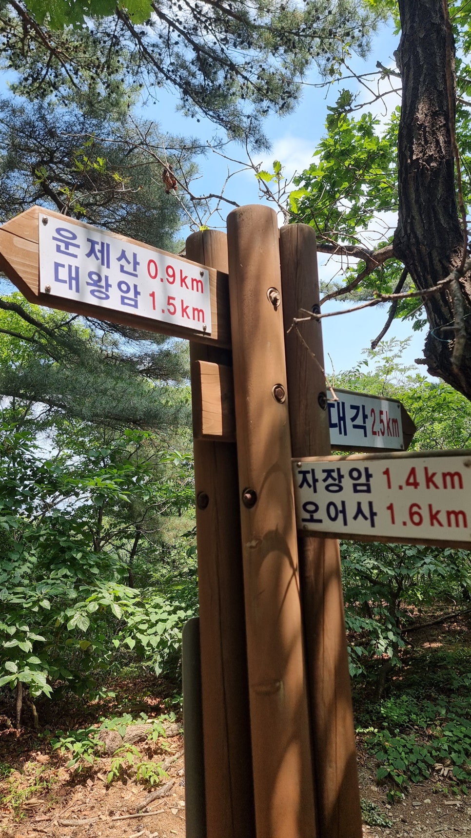 포항 운제산 등산, 오어사 원점회귀 환종주 산행