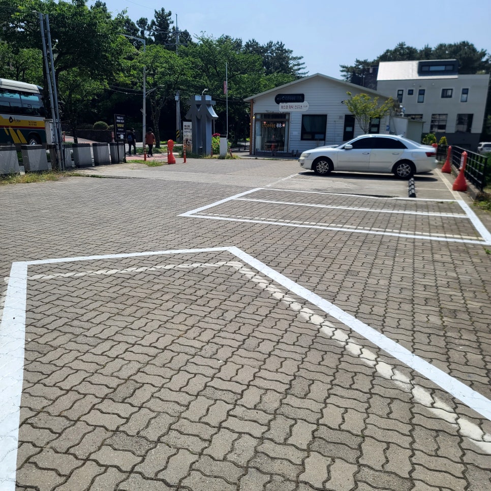 제주도 현지인 찐 맛집 리보스코화덕피자 톳도우 한라산용암피자 연어샐러드