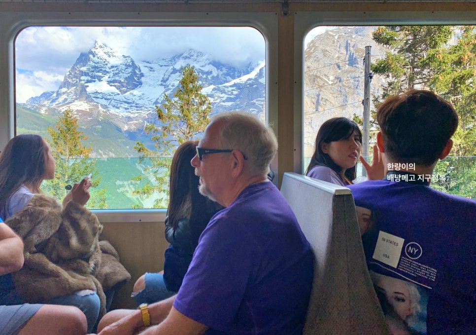 스위스트래블패스 할인 구매 - 스위스패스 구간 산악열차 사용법