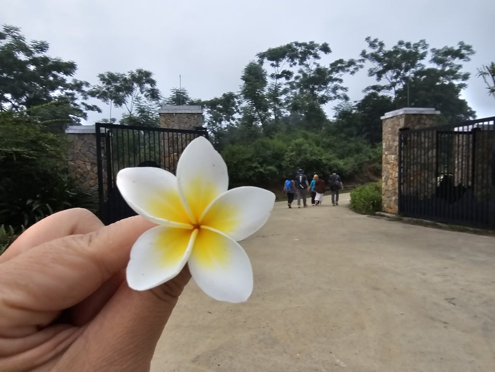 베트남 여행지 추천, GO LAO 폭포/바칸빌리지 주변 하이킹 3km 걷기