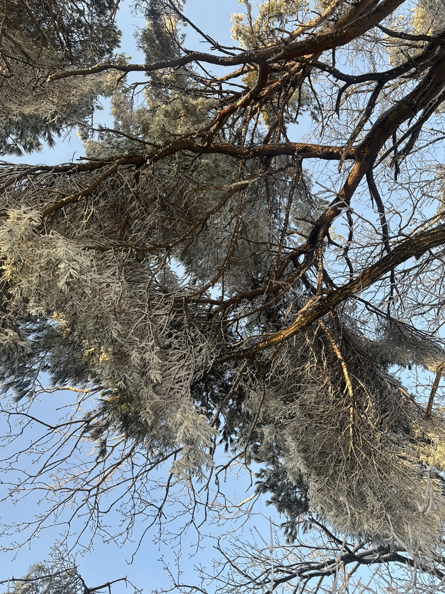 충주 계명산 최단코스 마즈막재 삼거리 원점회귀코스