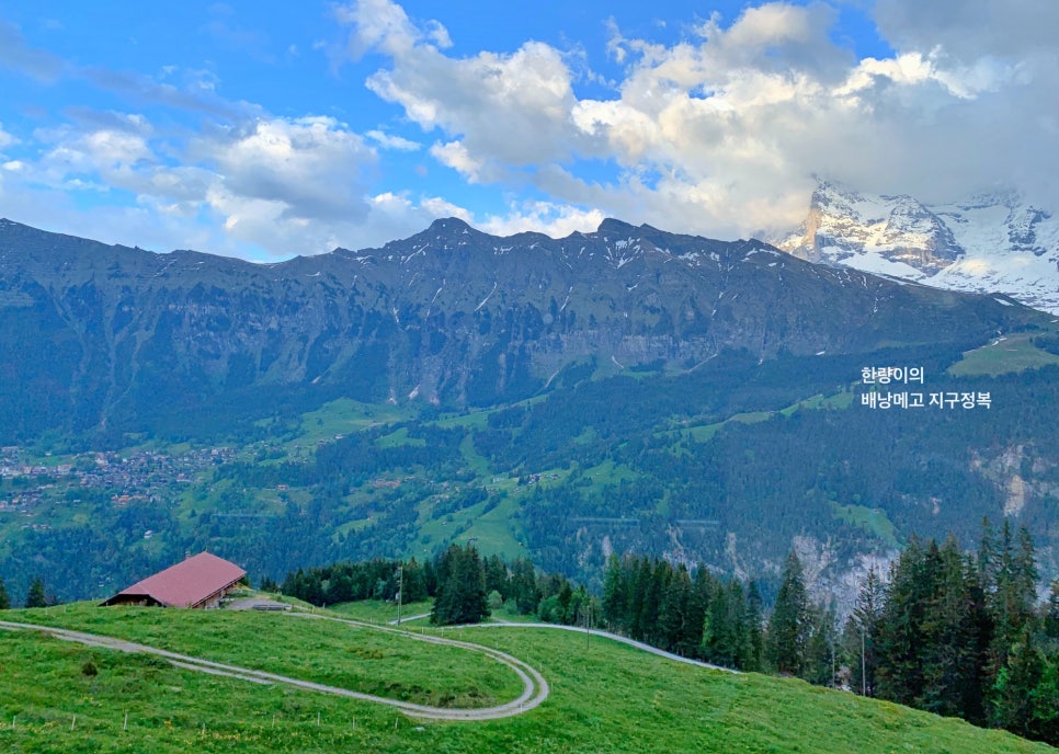 스위스트래블패스 할인 구매 - 스위스패스 구간 산악열차 사용법