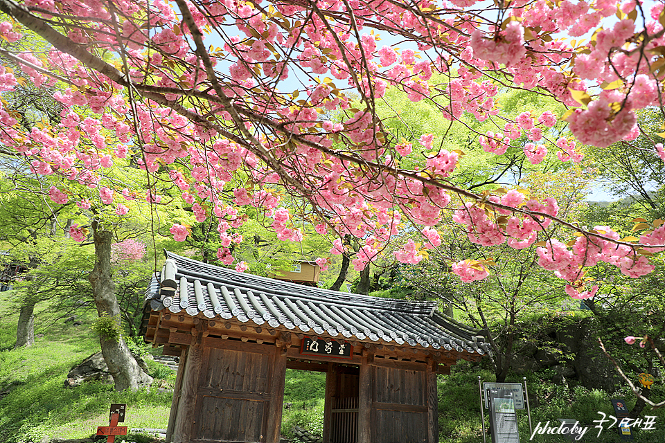 충남 서산 가볼만한곳 부석사 서산 명소