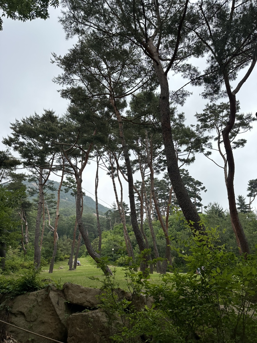 북한산 응봉능선코스 진관사 사모바위 비봉 원점회귀