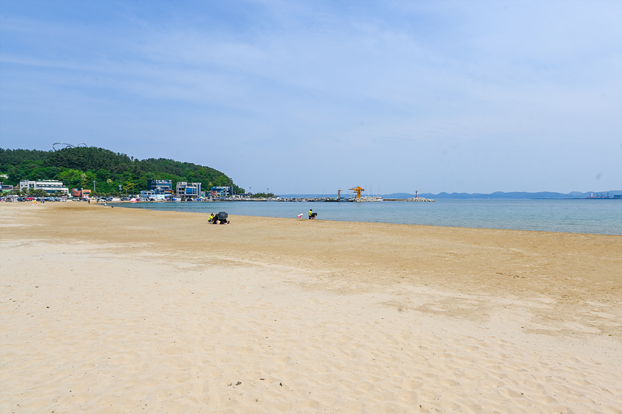 포항 해수욕장 영일대 장미원 장미 영일교 물놀이 포항 횟집