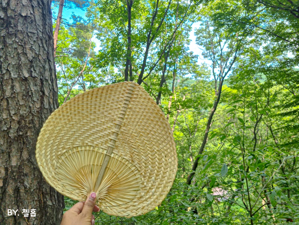 양산 가볼만한곳 웰니스 관광지 숲애서 산림치유 디지털 디톡스