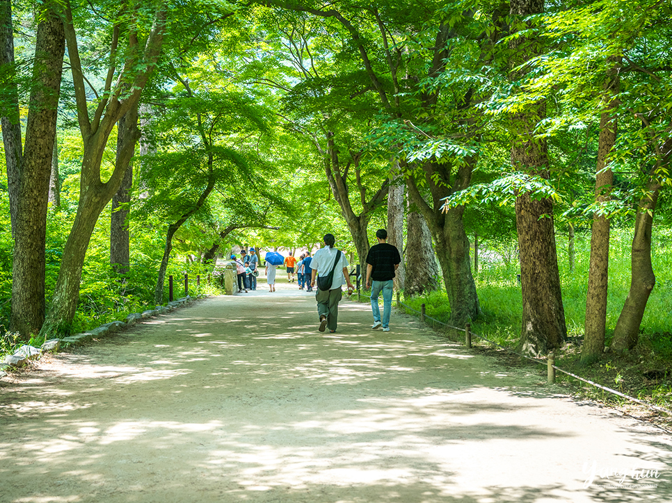 전북 여행지 추천 부안 여행 변산반도 부안 내소사