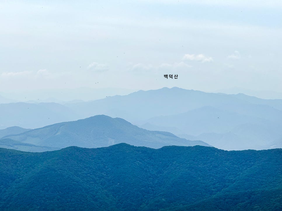 [51] 정선 가리왕산 (발심사 원점회귀 최단 코스)