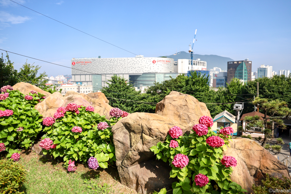 6월 부산 가볼만한곳 드라이브 코스 관광지 추천 부산 여행 코스