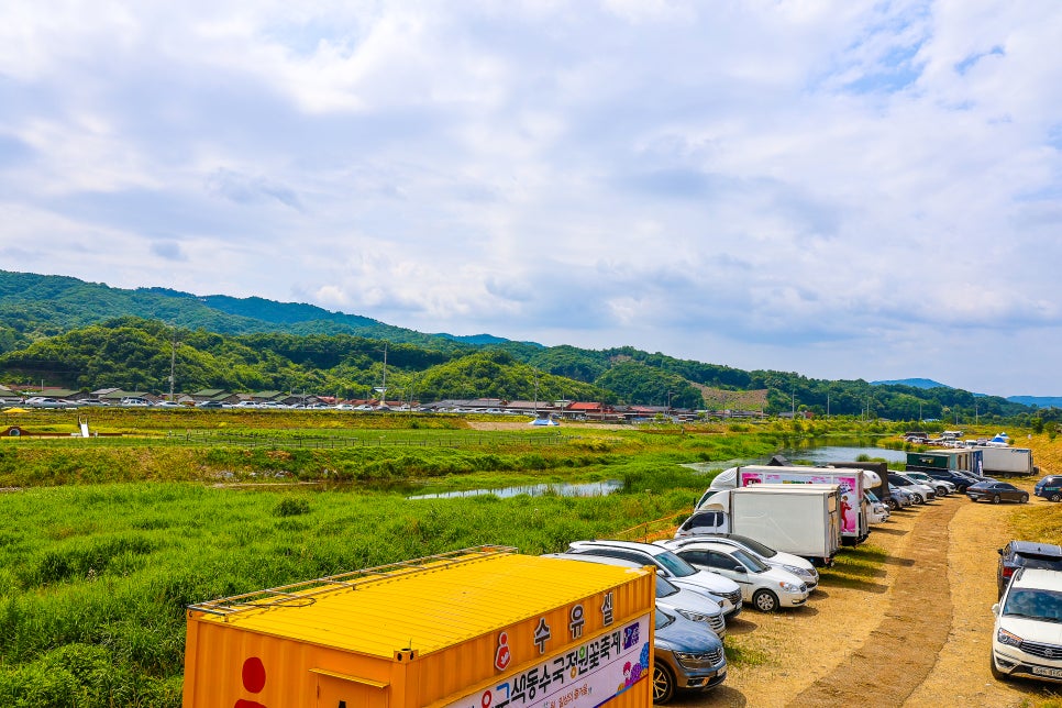 공주 가볼만한곳 유구 수국축제 공주 유구색동수국정원 6월 15일 실시간