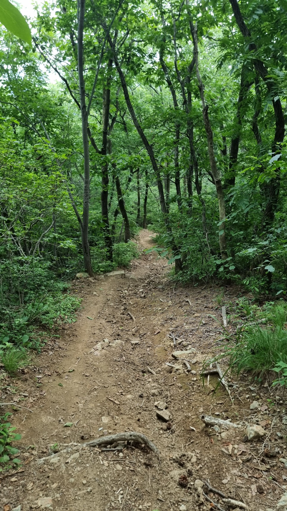 포항 운제산 등산, 오어사 원점회귀 환종주 산행