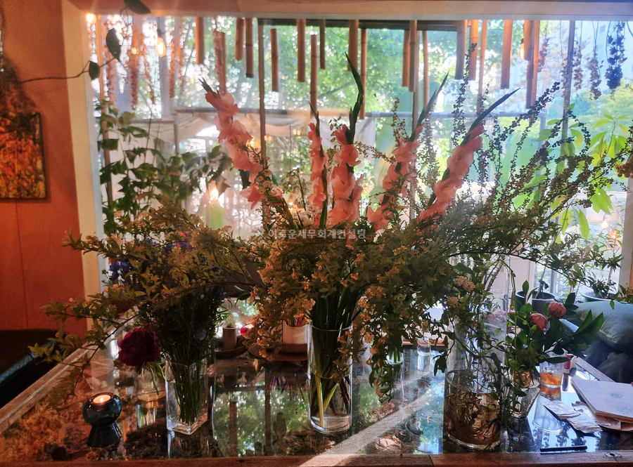 연남동 식물카페 '벌스가든' 휴양지 같은 안락함과 여유, 루프탑 카페 VER's Garden House
