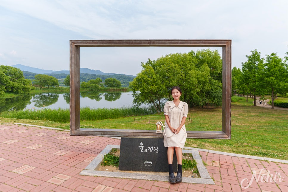 남양주 갈만한곳 물의정원 양귀비 남양주 볼거리 피크닉장소