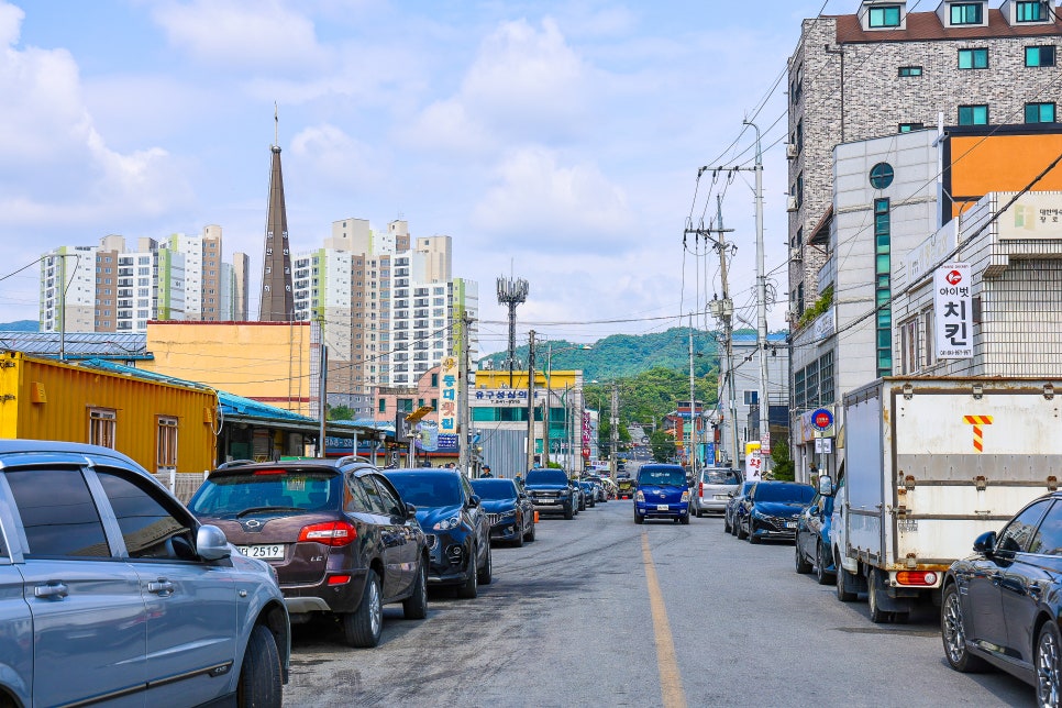 공주 가볼만한곳 유구 수국축제 공주 유구색동수국정원 6월 15일 실시간