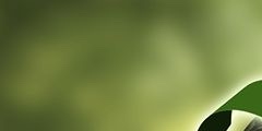 세계 리필의 날 참여 ‘희망을 리피래’ 캠페인 진행, 비지플랫폼 X 기빙플러스...ESG경영 탄소중립포인트 탄소저감