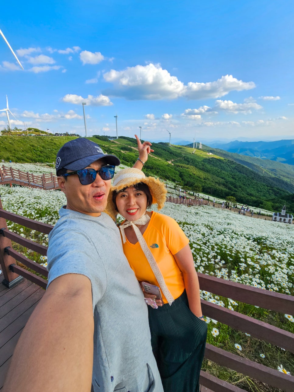 강원도 평창 여행 청옥산 육백마지기 샤스타데이지 개화상황 주차정보