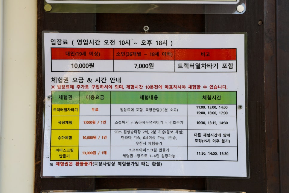 당진 아그로랜드 수레국화 태신목장 당진 가볼만한곳 6월 14일 풍경