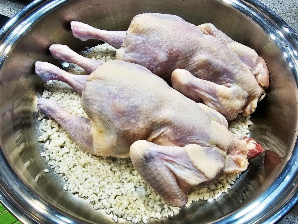 냄비 전복 삼계탕 끓이는법 닭손질 여름 보양식 만들기
